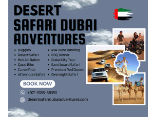 Unleash Your Wild Side: Quad  Adventures in Dubai / +971555538395