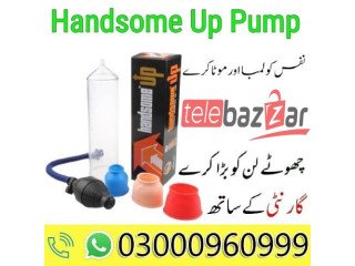 Handsome Up Pump Price In Muzaffargarh - 03000960999