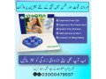 viagra-100mg-tablet-online-price-in-gujrat-03000479557-small-0