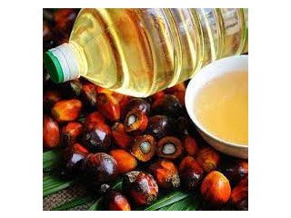 Premium Palm Oil Supplier - Exceptional Quality Palm Oil